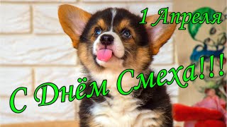 👨1 АПРЕЛЯ ДЕНЬ СМЕХА!👧 Прикольное Поздравление с Днем Смеха! Прикольная Весёлая песня!🤣