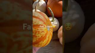 Fall is here#shorts#fall#byesummer #viral#chill#nostalgic #pumpkin