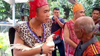 Gawai antu ba Ng Padeh, Betong 2017 part 4