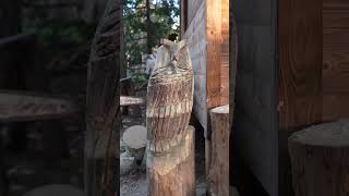 Eule Schnitzen mit der Kettensäge #shorts #carving #chainsaw