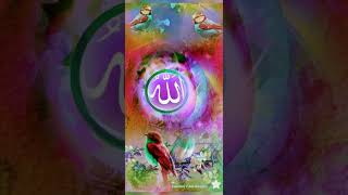 Kia Ap Janty Hai Marty Wakat Malkul Mot Asman Sy Kasy Otrty Hai#viralvideos #ytshorts #islamicvideo