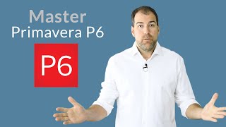 Are You Overwhelmed by Primavera P6?