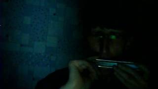 Lady in black /tremolo harmonica key of C /