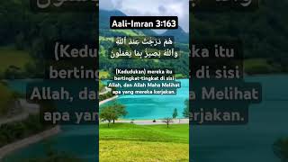 Aali-Imran 3:163