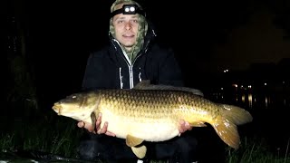 Meerdere karpers gevangen op kanaal