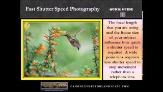 Fast Shutter Speed Photography