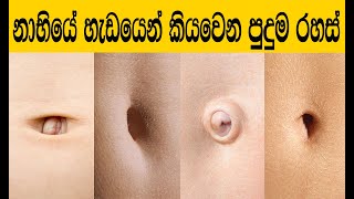 What Your Belly Button Says About You | Navel Shape And Personality Test Sinhala