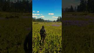 Red Dead Redemption 2 in 4k #reddeadredemption2 #rdr2clips #rdr2online #graphics #rtx4090 #foryou