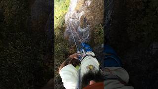 What almost knocked me off the mountain? #shorts #climbing #northcarolina #mountains #wtf #wild #wow