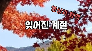 잊어진 계절 (피아노 연주곡)