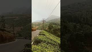 elappari vagamon // sifa trends//