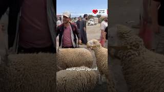 لماذا الإمارات ذكية في عيد الأضحى؟! 🐑 #عيد_الاضحى #كل_عام_وانتم_بخير #تطبيقات #shorts #أضحية_العيد