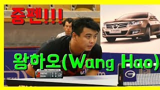 중펜의 전설 왕하오!! 백플릭 포핸드 and 백드라이브 ㅎㄷㄷ Wang Hao