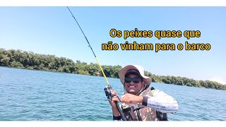 já estava desacreditado com tanto peixe indo embora do anzol!