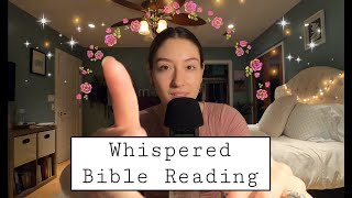 Bible ASMR | Reading Philippians (Part 2)