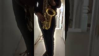 Epic sax solo using the new expensive carrot mouthpiece #jazzsolo #altosaxsolo#comedy