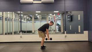 standing bent over single arm row