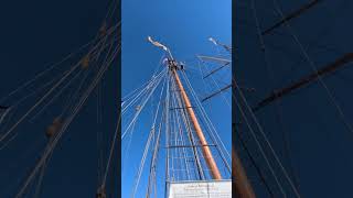 Check out Pride of Baltimore II 👀⛵ #oceanlifenetwork #oceanvibes #boat #boatlife #PrideOfBaltimore