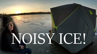 Early NOISY Ice - Lake Elmo Perch! (Fishing Montana)