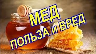 МЁД! Польза и вред Мёда! Правильный мёд. Нагрев, кариес, качество, хранение. Дикий мёд / Фролов Ю.А.