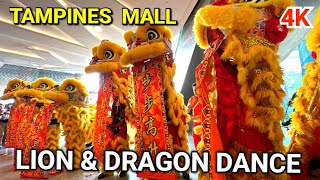 Lion and Dragon Dance Performance | Singapore Tampines Mall | Year of the Dragon