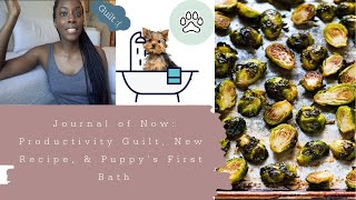 #Adulting I Productivity Guilt, New Recipe, Puppy's First Bath!