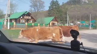 КУК-КАРАУК. Водопад. Нет дорог. Красота родного края. Башкортостан.