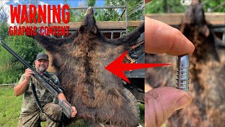 Hunting Bear in Arizona with the Western Bushbuck 45 Airgun