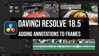 DaVinci Resolve 18.5 | Adding Annotations to Frames