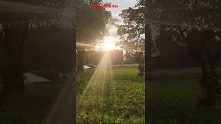 Beautiful Sunset #subcribemychannel #viral#sun #sunset