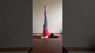 lift your body up to Sarvangasana #Sarvangasana #yoga #love #shoulderworkout