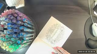 Artists Loft 100Gel Pens | Writing Pen Review |