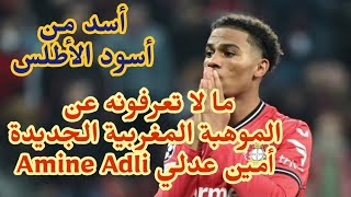 ما لا تعرفونه عن اللاعب المغربي أمين عدلي Amine Adli