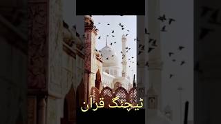 Surah Al Nisa  with Urdu Translation #youtubeshorts #ytshort #1millionviews