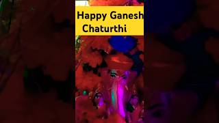 Happy Ganesh chaturthi 🌺🪷🪷