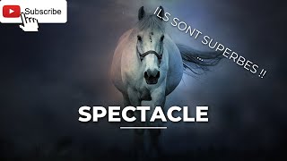 Spectacle du ..... ?!