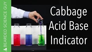 Red Cabbage Juice Acid Base Indicator Experiment (Chemistry)