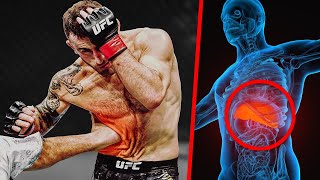 Top Toughest Knockouts to the Liver / VERY PAINFUL to Watch!