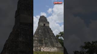 The Maya Civilization: Top 5 Mind-Blowing Facts!! | @SGytb007। #mayacivilization #history