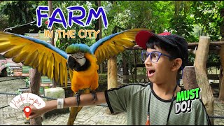 Experience Jungle Book in Real Life 🦋🐢 | Farm in the City Kuala Lumpur