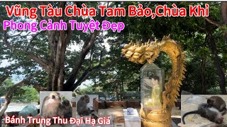 Vũng Tàu Có Ngôi Chùa Rất Nhiều Khỉ Đến Ở,Bánh Trung Thu Năm Nào Cũng Đại Hạ Giá