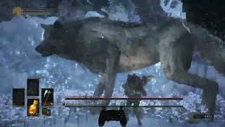 SL 1 Champion's Gravetender & Great Wolf || Dark Souls 3