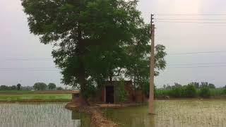 Khet,Moter || Punjab Village Life || Natural Village Life Of Punjab india