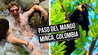 MINCA, COLOMBIA is SO BEAUTIFUL! (Bird Watching and Natural Jacuzzi in Paso del Mango)