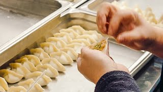 【町中華】餃子職人の朝の仕込みに密着 - 楽仙樓 - Chinese dumpling - Japanese Street Food - 만두 饺子［京都グルメ］