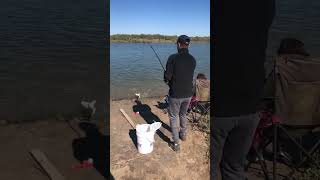 Arroyo City fishing  | black drum #shorts #fishing #fish