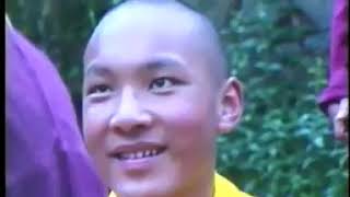 Karmapa - The Lion Begins to Roar