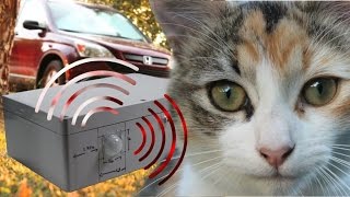 Car anti-sleeping cat lounge device (Arduino project)