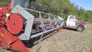 1982 Hesston 6450 Swather - Chrysler Slant 6 engine Runs Well - New battery - 21ft u2 pickup reel