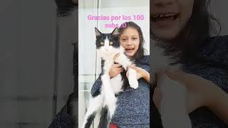 Gracias por los 100 Subs